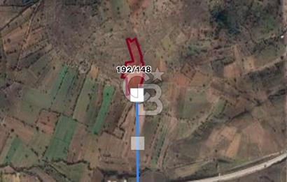 Manisa Kula Satılık İzmir-Uşak Ana Yoluna Çok Yakın Fırsat Bağ