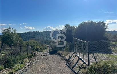 Seferihisar Gölcük Satılık 7 Dönüm Yatırımlık Fırsat Zeytinlik