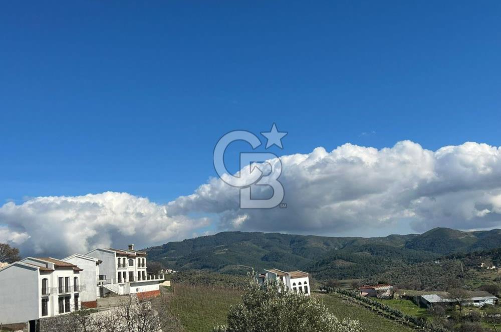 Seferihisar Gölcük Satılık 7 Dönüm Yatırımlık Fırsat Zeytinlik