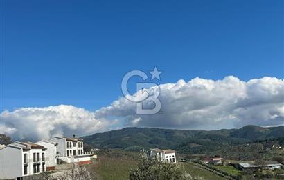 Seferihisar Gölcük Satılık 7 Dönüm Yatırımlık Fırsat Zeytinlik