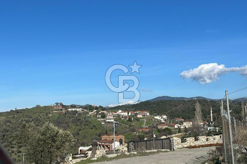 Seferihisar Gölcük Satılık 7 Dönüm Yatırımlık Fırsat Zeytinlik