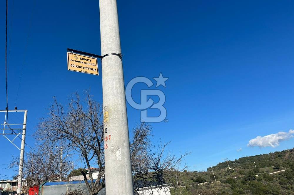 Seferihisar Gölcük Satılık 7 Dönüm Yatırımlık Fırsat Zeytinlik