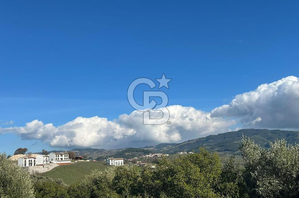 Seferihisar Gölcük Satılık 7 Dönüm Yatırımlık Fırsat Zeytinlik