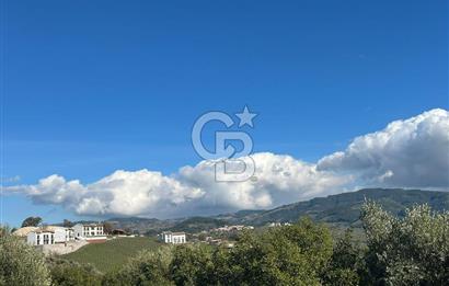 Seferihisar Gölcük Satılık 7 Dönüm Yatırımlık Fırsat Zeytinlik