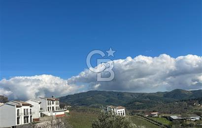 Seferihisar Gölcük Satılık 7 Dönüm Yatırımlık Fırsat Zeytinlik