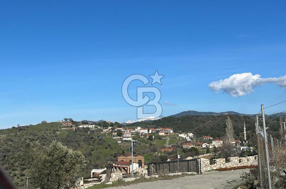 Seferihisar Gölcük Satılık 7 Dönüm Yatırımlık Fırsat Zeytinlik