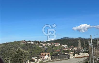 Seferihisar Gölcük Satılık 7 Dönüm Yatırımlık Fırsat Zeytinlik