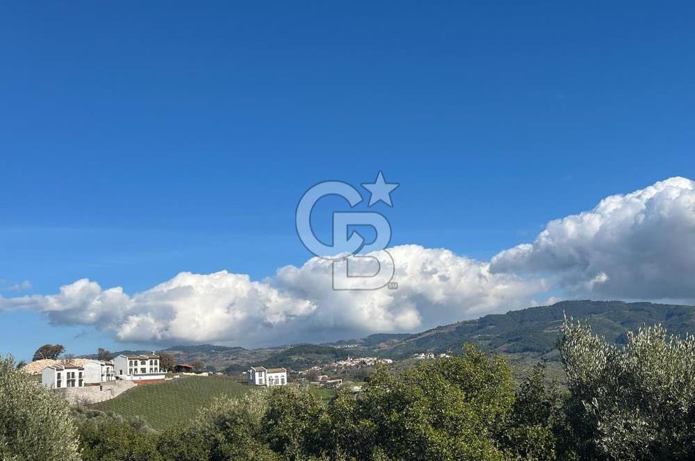 Seferihisar Gölcük Satılık 7 Dönüm Yatırımlık Fırsat Zeytinlik