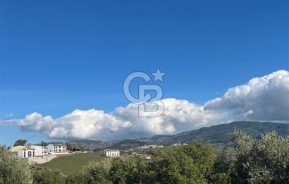 Seferihisar Gölcük Satılık 7 Dönüm Yatırımlık Fırsat Zeytinlik