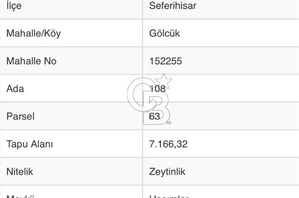 Seferihisar Gölcük Satılık 7 Dönüm Yatırımlık Fırsat Zeytinlik