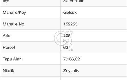 Seferihisar Gölcük Satılık 7 Dönüm Yatırımlık Fırsat Zeytinlik