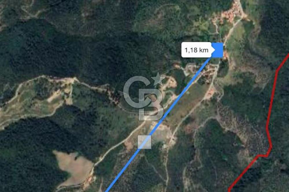 Seferihisar Gölcük Satılık 7 Dönüm Yatırımlık Fırsat Zeytinlik