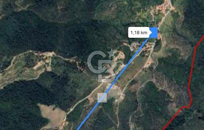 Seferihisar Gölcük Satılık 7 Dönüm Yatırımlık Fırsat Zeytinlik