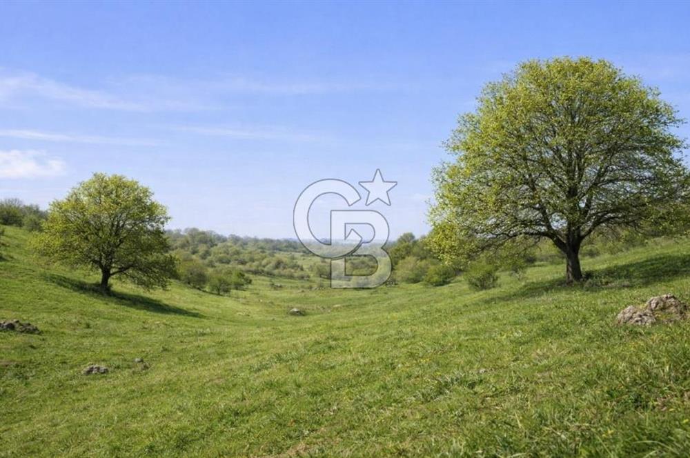 Bilecik Bozüyük Satılık Ana Yola Yakın 9 Dönüm Tarla