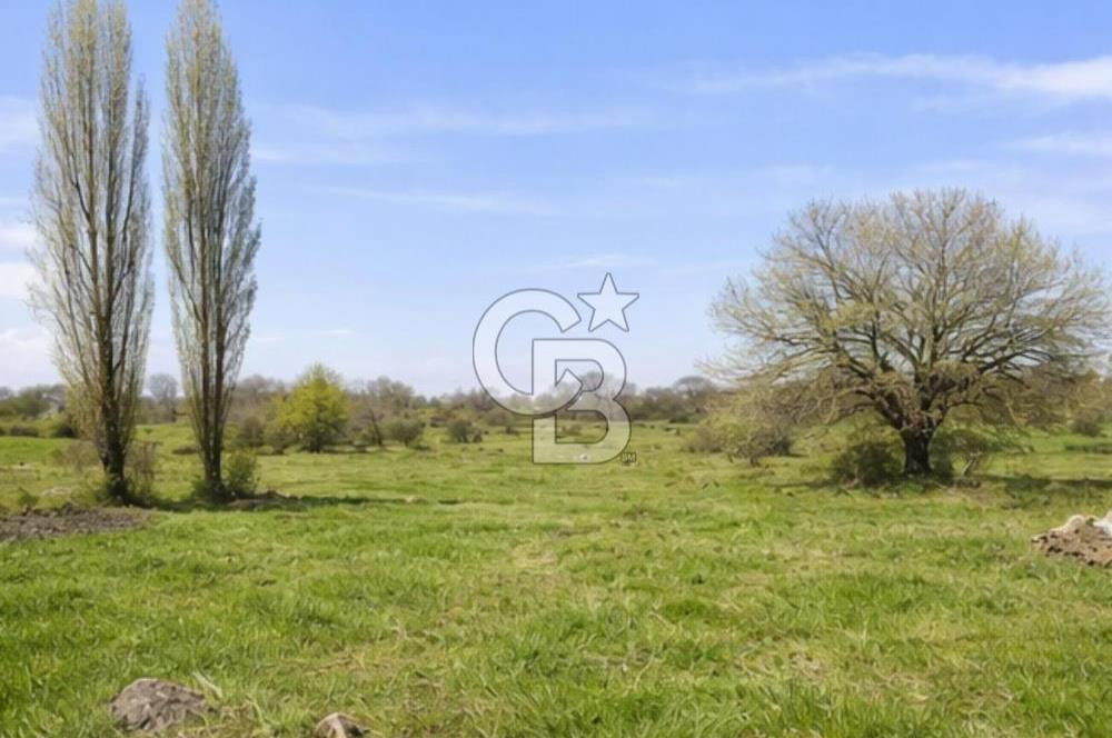 Bilecik Bozüyük Satılık Ana Yola Yakın 9 Dönüm Tarla