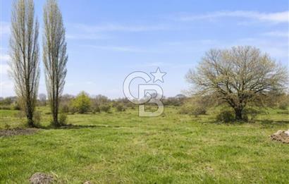 Bilecik Bozüyük Satılık Ana Yola Yakın 9 Dönüm Tarla