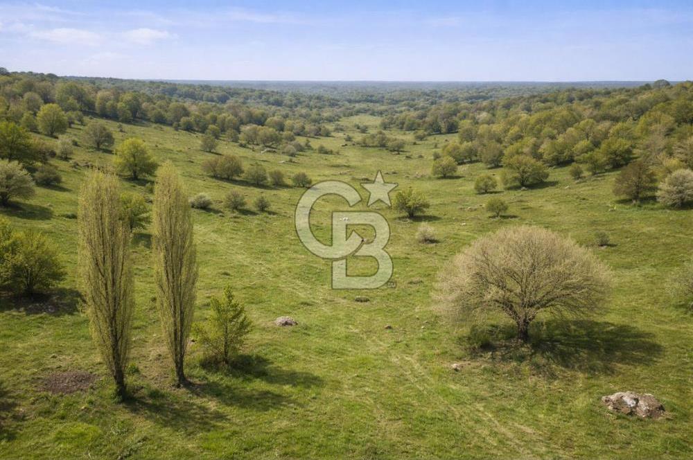 Bilecik Bozüyük Satılık Ana Yola Yakın 9 Dönüm Tarla