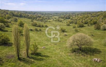 Bilecik Bozüyük Satılık Ana Yola Yakın 9 Dönüm Tarla