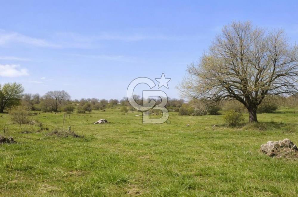 Bilecik Bozüyük Satılık Ana Yola Yakın 9 Dönüm Tarla