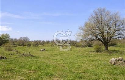 Bilecik Bozüyük Satılık Ana Yola Yakın 9 Dönüm Tarla