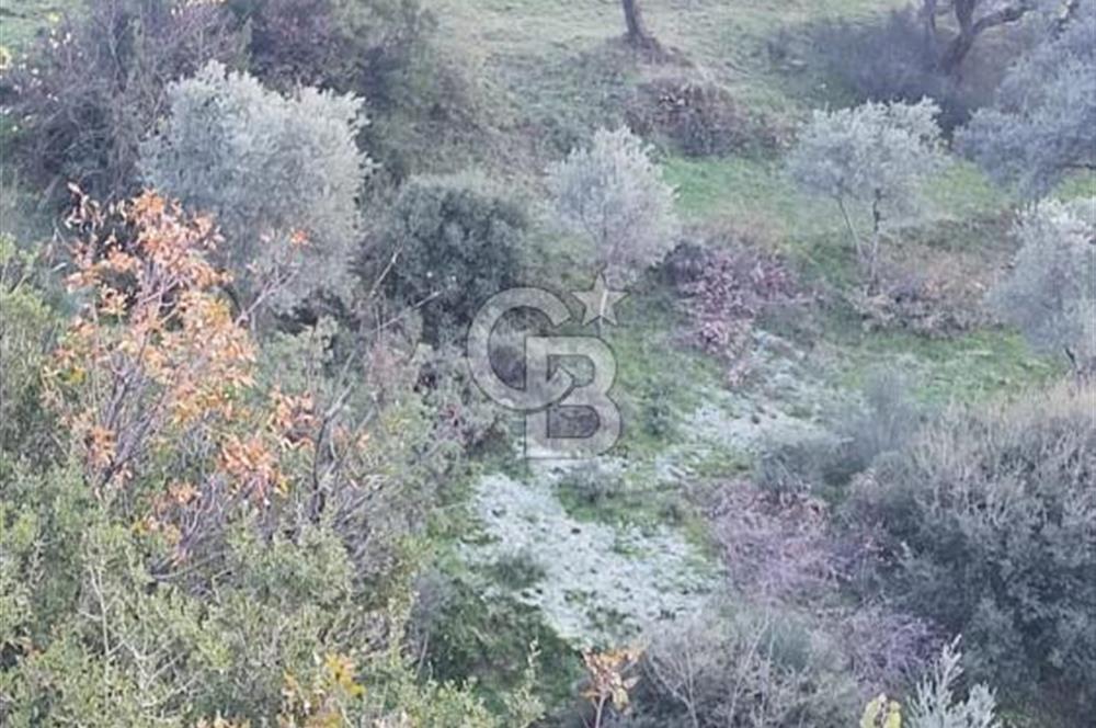 İzmir Bayındır Pınarlı Satılık Müstakil Ev Ve Arsası