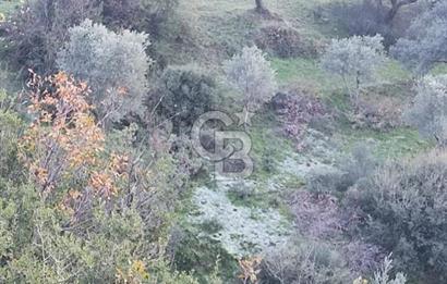 İzmir Bayındır Pınarlı Satılık Müstakil Ev Ve Arsası