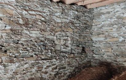 İzmir Bayındır Pınarlı Satılık Müstakil Ev Ve Arsası