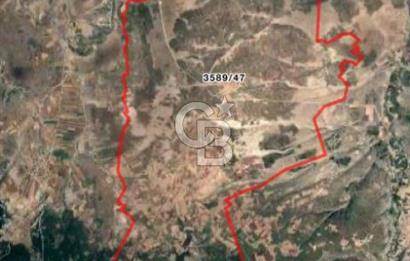 CB CITY'DEN SEYİTGAZİ CEVİZLİ KÖYÜ'NDE SATILIK TARLA