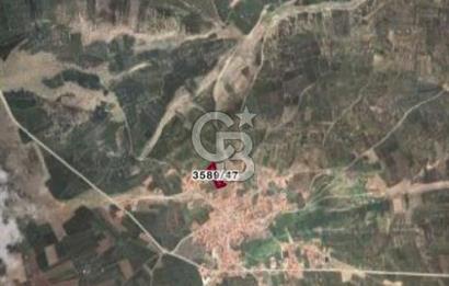 CB CITY'DEN SEYİTGAZİ CEVİZLİ KÖYÜ'NDE SATILIK TARLA