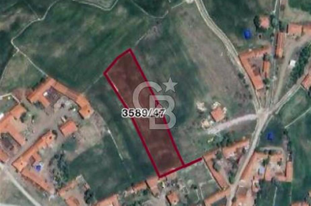 CB CITY'DEN KÜTAHYA MERKEZ İHSANİYE KÖYÜ'NDE SATILIK TARLA