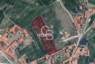 CB CITY'DEN KÜTAHYA MERKEZ İHSANİYE KÖYÜ'NDE SATILIK TARLA - 1 - 333395