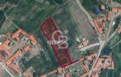 CB CITY'DEN KÜTAHYA MERKEZ İHSANİYE KÖYÜ'NDE SATILIK TARLA