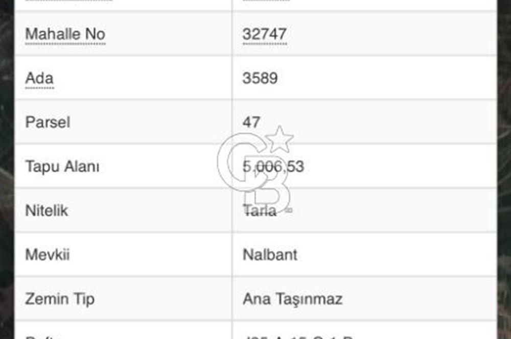 CB CITY'DEN SEYİTGAZİ CEVİZLİ KÖYÜ'NDE SATILIK TARLA