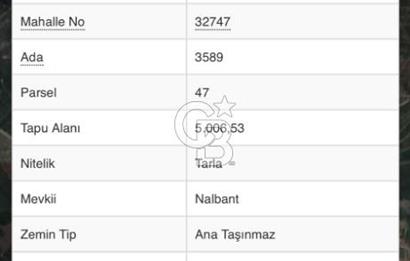 CB CITY'DEN SEYİTGAZİ CEVİZLİ KÖYÜ'NDE SATILIK TARLA