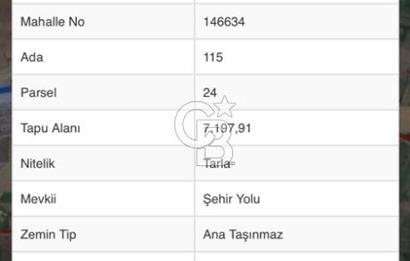 CB CITY'DEN KÜTAHYA MERKEZ İHSANİYE KÖYÜ'NDE SATILIK TARLA