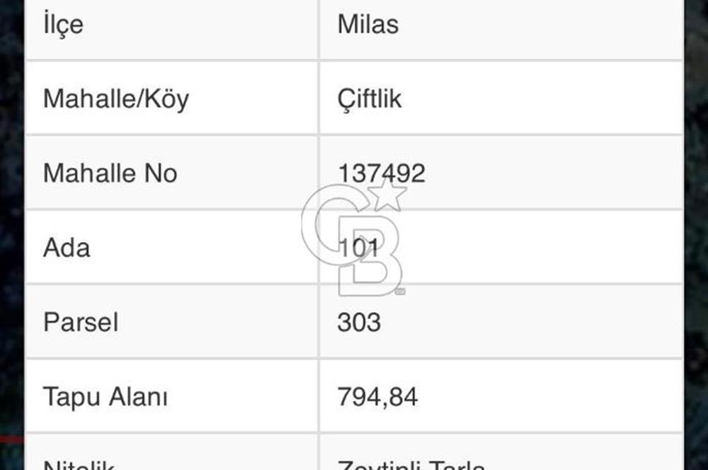 MİLAS ÇİFTLİKTE KÖY MERKEZİNE YAKIN 800 M2 SATILIK TARLA