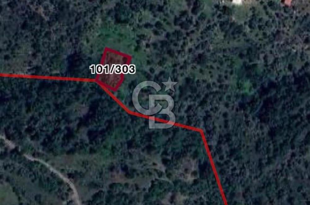 MİLAS ÇİFTLİKTE KÖY MERKEZİNE YAKIN 800 M2 SATILIK TARLA