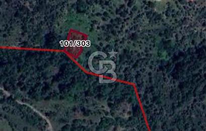 MİLAS ÇİFTLİKTE KÖY MERKEZİNE YAKIN 800 M2 SATILIK TARLA