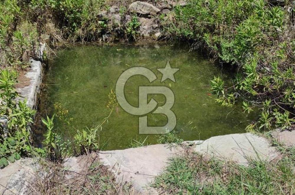 MİLAS ÇİFTLİKTE KÖY MERKEZİNE YAKIN 800 M2 SATILIK TARLA