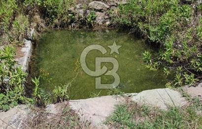 MİLAS ÇİFTLİKTE KÖY MERKEZİNE YAKIN 800 M2 SATILIK TARLA