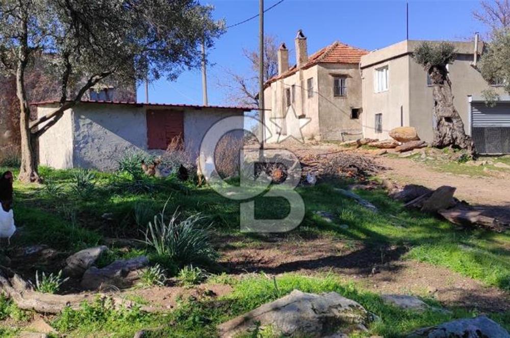 MİLAS ÇİFTLİKTE KÖY MERKEZİNE YAKIN 800 M2 SATILIK TARLA