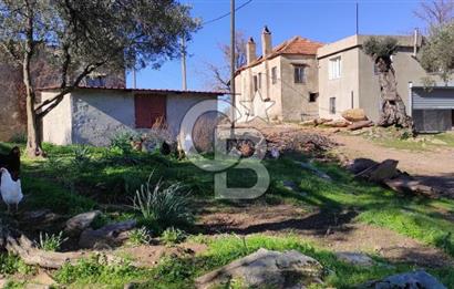 MİLAS ÇİFTLİKTE KÖY MERKEZİNE YAKIN 800 M2 SATILIK TARLA