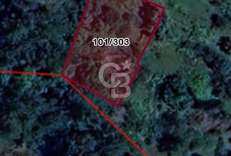 MİLAS ÇİFTLİKTE KÖY MERKEZİNE YAKIN 800 M2 SATILIK TARLA - 8 - 333384