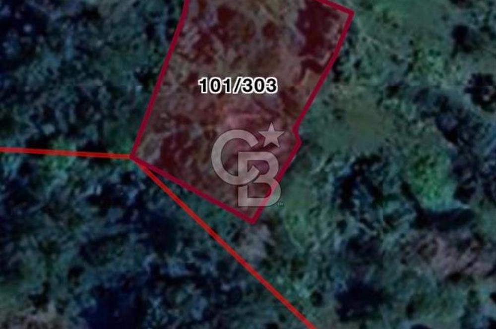 MİLAS ÇİFTLİKTE KÖY MERKEZİNE YAKIN 800 M2 SATILIK TARLA