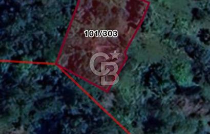 MİLAS ÇİFTLİKTE KÖY MERKEZİNE YAKIN 800 M2 SATILIK TARLA