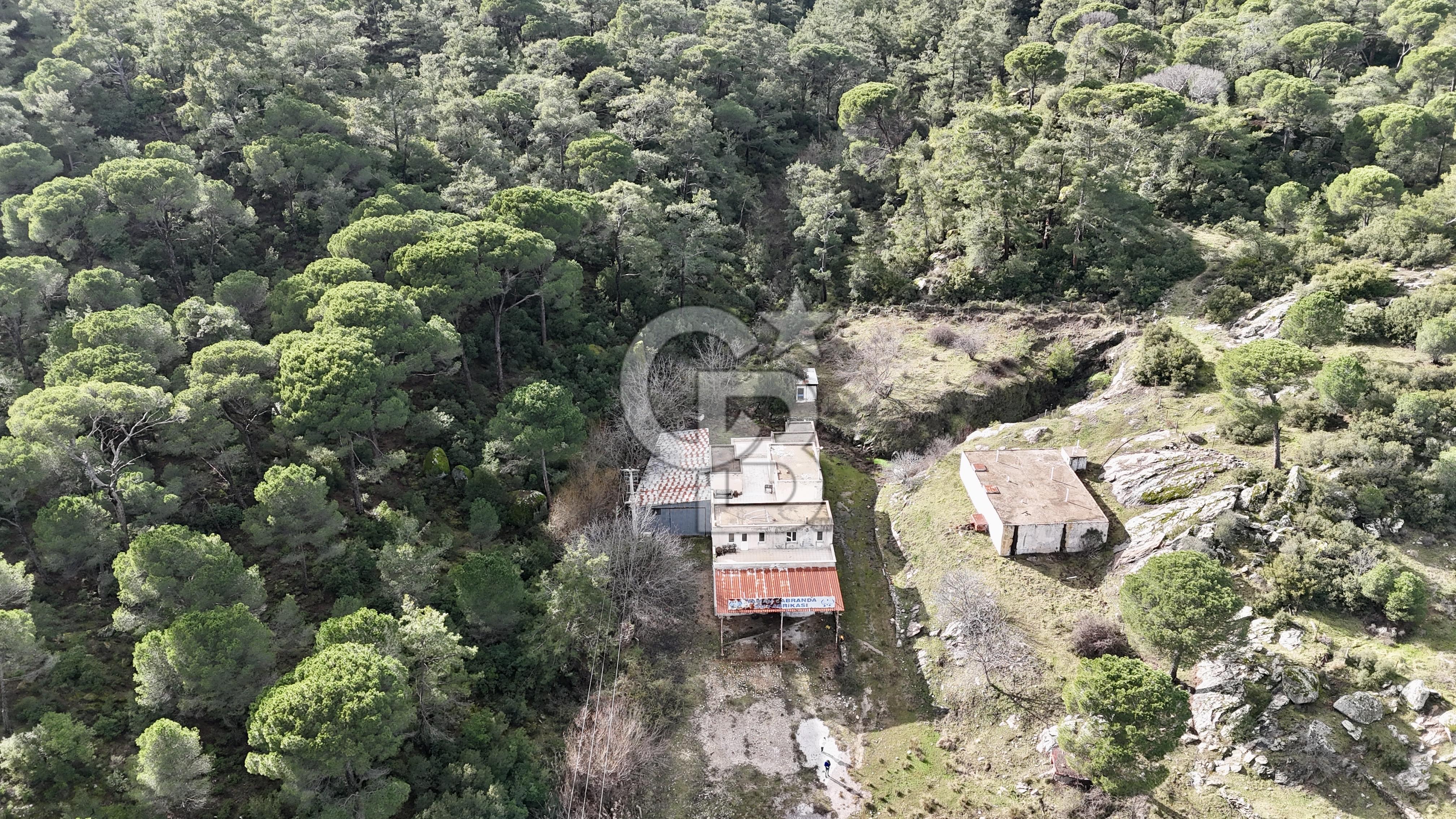 MUĞLA MİLAS OLUKBAŞI KÖYÜ GUVAZKAVAĞI'nda DOĞAL KAYNAKSUYU OLAN SATILIK TARLA 