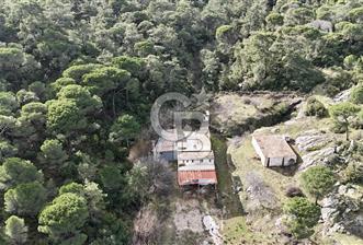 MUĞLA MİLAS OLUKBAŞI KÖYÜ GUVAZKAVAĞI'nda DOĞAL KAYNAKSUYU OLAN SATILIK TARLA  - 7 - 333407