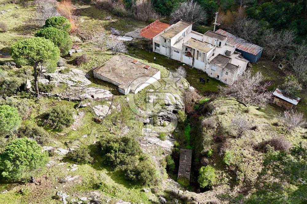 MUĞLA MİLAS OLUKBAŞI KÖYÜ GUVAZKAVAĞI'nda DOĞAL KAYNAKSUYU OLAN SATILIK TARLA 