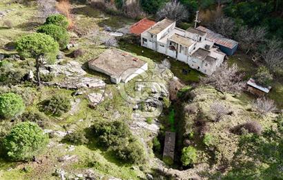 MUĞLA MİLAS OLUKBAŞI KÖYÜ GUVAZKAVAĞI'nda DOĞAL KAYNAKSUYU OLAN SATILIK TARLA 