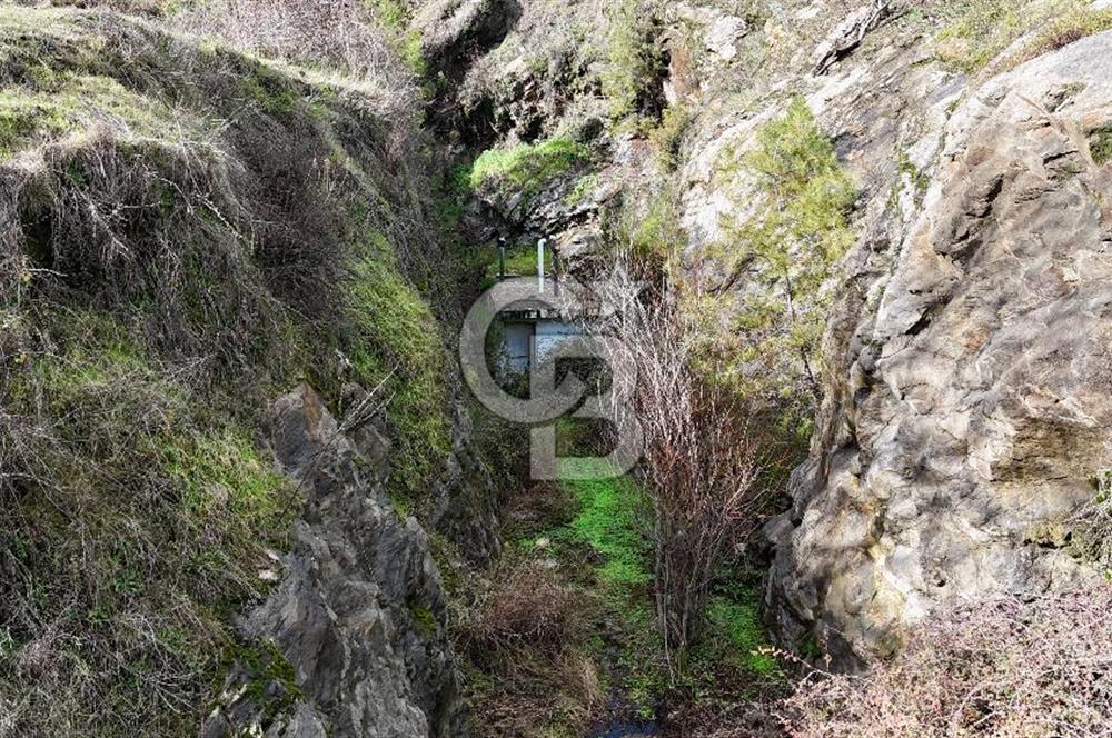 MUĞLA MİLAS OLUKBAŞI KÖYÜ GUVAZKAVAĞI'nda DOĞAL KAYNAKSUYU OLAN SATILIK TARLA 